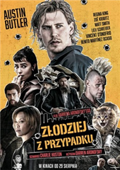 Złodziej z przypadku - napisy