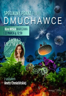 Dmuchawce - pokaz specjalny przyjazny sensorycznie z Dzikoprzygodami!